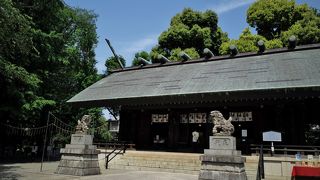 緑豊かな神社