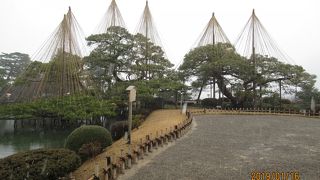 冬の風物詩です