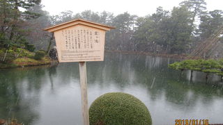 池に景色が映ります