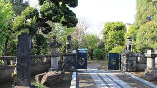 山門の石柱上の置物がユニーク