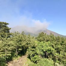 展望台から桜島