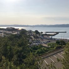 展望台から桜島港