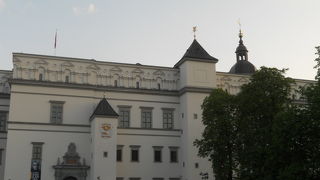 一般的な欧州の王宮見学とはちょっと違う感じでした