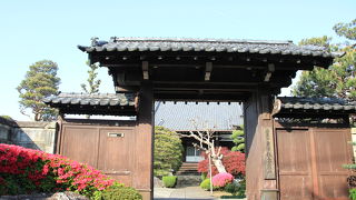 境内にツツジや牡丹