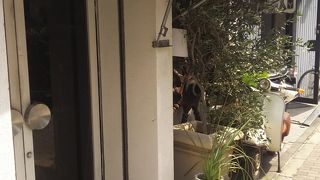 ヴィンテージの家具