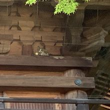 塔の二階にある猫