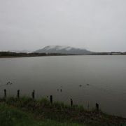 砂丘のくぼ地が湖になった佐潟は日本有数のハクチョウの飛来地