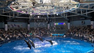 魚と光が芸術的なステキな水族館でした
