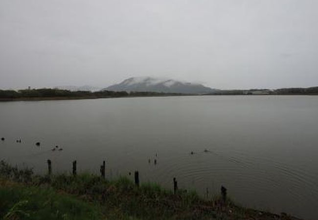 砂丘のくぼ地が湖になった佐潟は日本有数のハクチョウの飛来地