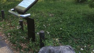 その辺にある石と同じ