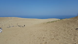 壮大な鳥取砂丘