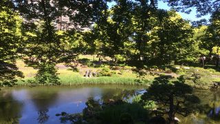 上からだと全体を見れる