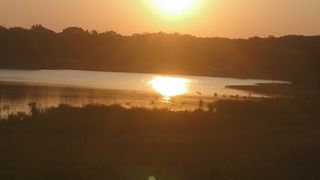 花見もオススメ