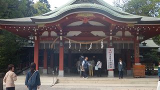 今年も藤の花を見に行く