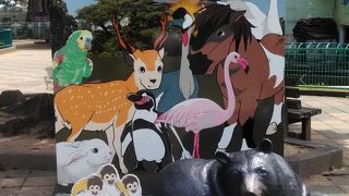 無料の動物園もあります
