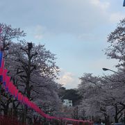 駐車車両が無ければなぁ