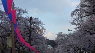 駐車車両が無ければなぁ