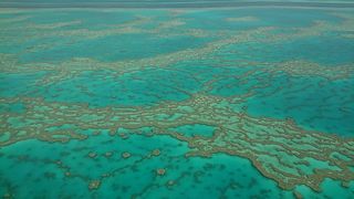 これぞ世界の至宝