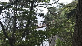 かなり揺れます