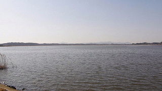 オオワシが見られました。