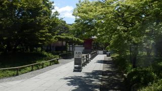 平等院と宇治川に沿った散策道