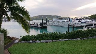 食べ歩き、買い歩き