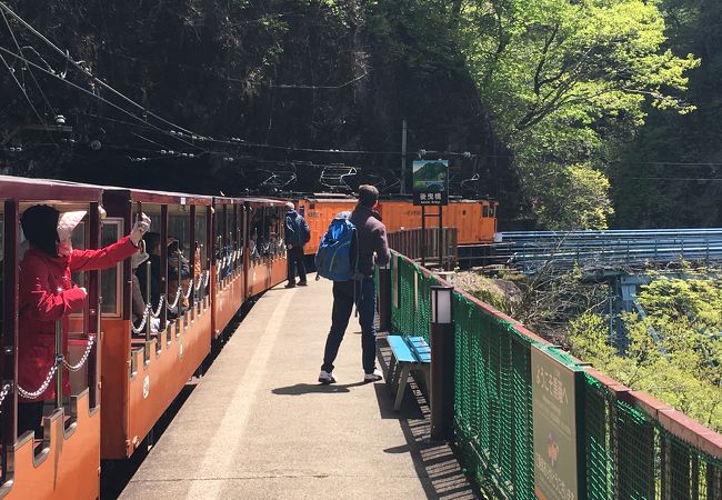 手軽にトロッコ電車を楽しむなら当駅までの往復で十分でしょう。