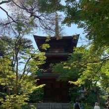 塔の二階にある猫、見えるでしょうか？