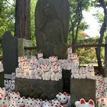 豪徳寺の招き猫