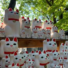 豪徳寺の招き猫