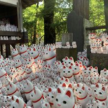 豪徳寺の招き猫