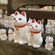 豪徳寺の招き猫