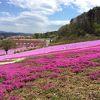 ジュピアランドひらた芝桜まつり