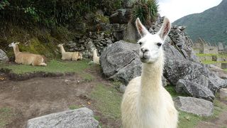 Historic Sanctuary of Machu Picchu