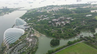 一気に56階まで直行