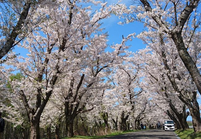 戸田記念墓地公園 クチコミ アクセス 営業時間 石狩 当別 厚田 フォートラベル 戸田記念墓地公園 クチコミ アクセス 営業時間 石狩 当別 厚田 フォートラベル