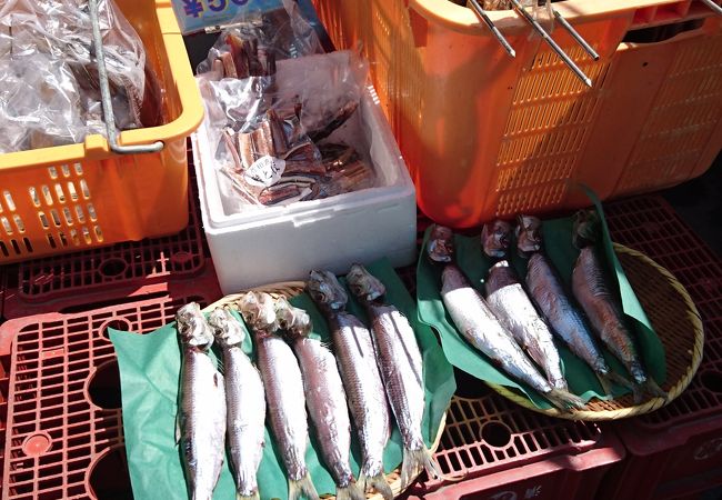 厚田港朝市 クチコミ アクセス 営業時間 石狩 当別 厚田 フォートラベル 厚田港朝市 クチコミ アクセス 営業時間 石狩 当別 厚田 フォートラベル