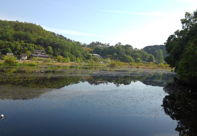 深沼池 クチコミ アクセス 営業時間 下鴨 宝ヶ池 平安神宮 フォートラベル