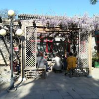 庭園で朝食を。