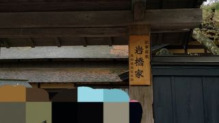 樹齢300年のカシワの木