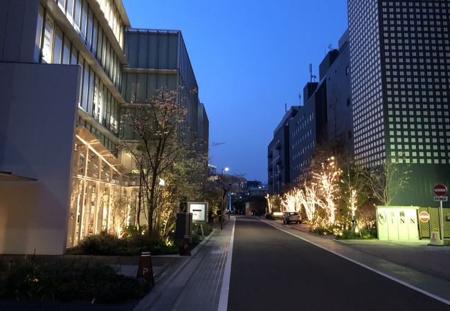 ボンドストリート イルミネーション 天王洲イルミネーション クチコミ アクセス 営業時間 品川 フォートラベル ボンドストリート イルミネーション 天王洲イルミネーション クチコミ アクセス 営業時間 品川 フォートラベル