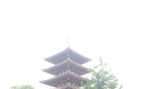 浅草寺へ