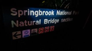 土ボタルがいっぱい