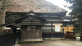 地元ガイドの説明があります