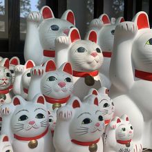 豪徳寺の招き猫