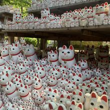 豪徳寺の招き猫