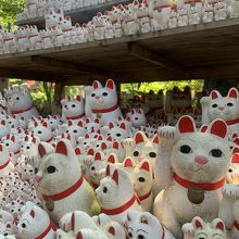 豪徳寺の招き猫