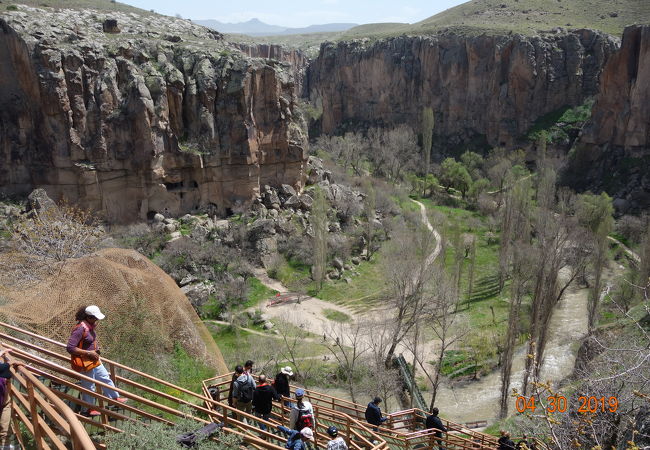 グリーンツアーの目玉。