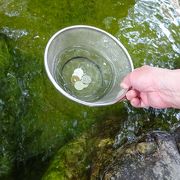 金銭の神はいつも大混雑