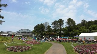 お花がいっぱいでかわいい